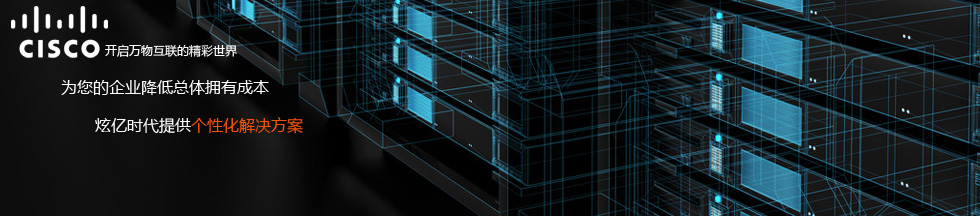 思科企業(yè)個性化解決方案